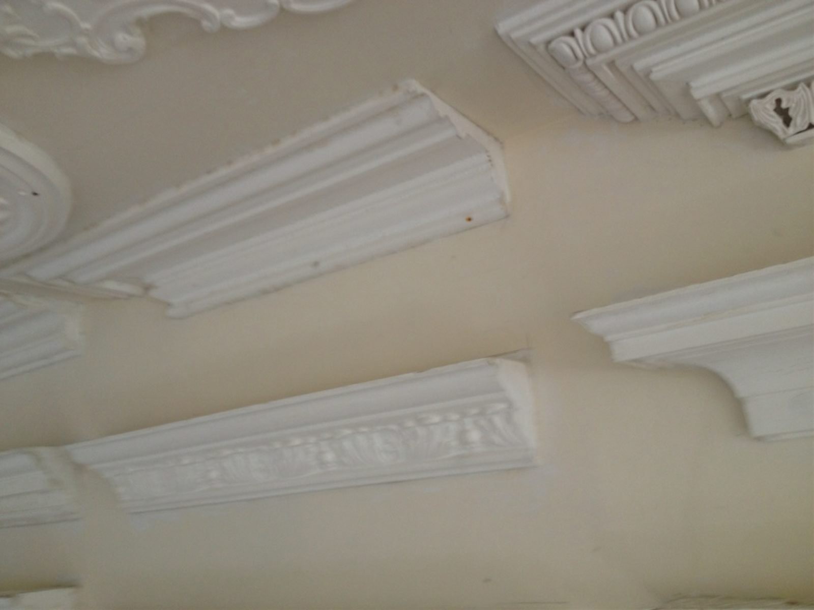 Life on the Avenue Plaster mouldings!